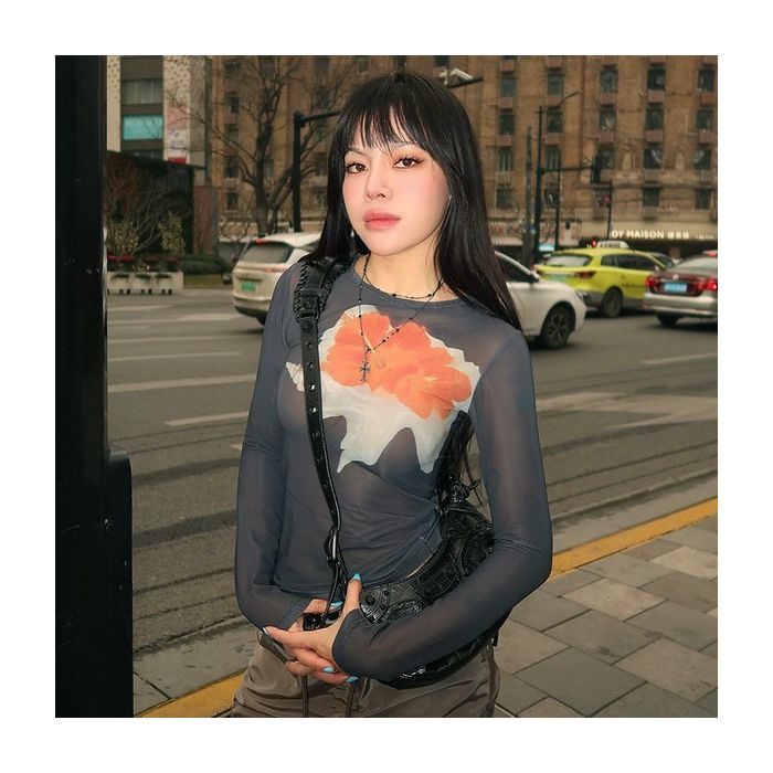 Women Mesh Long Sleeve TOP